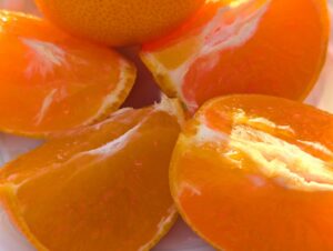 【3月18日 山形新聞掲載】超希少新品種 愛媛県産「紅プリンセス」山形に限定入荷！